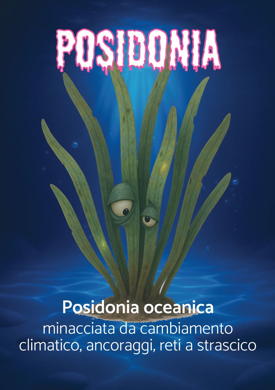Posidonia