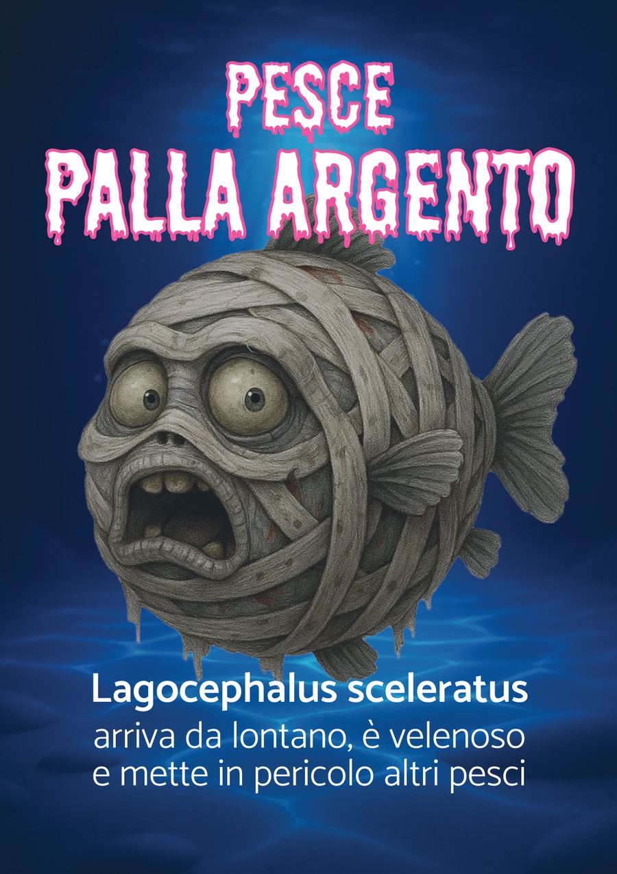 Pesce Palla Argento