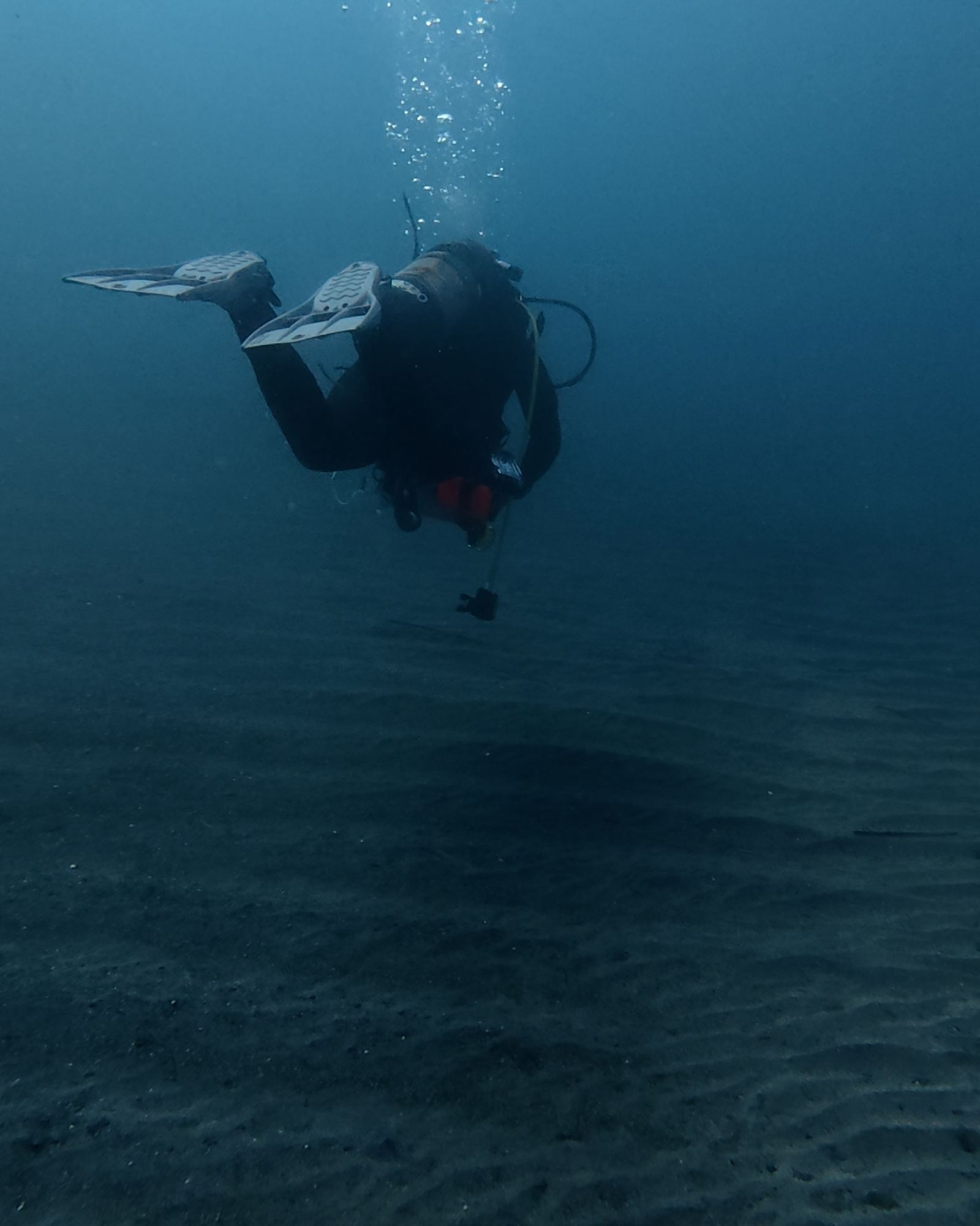 Diver during the seabed survey